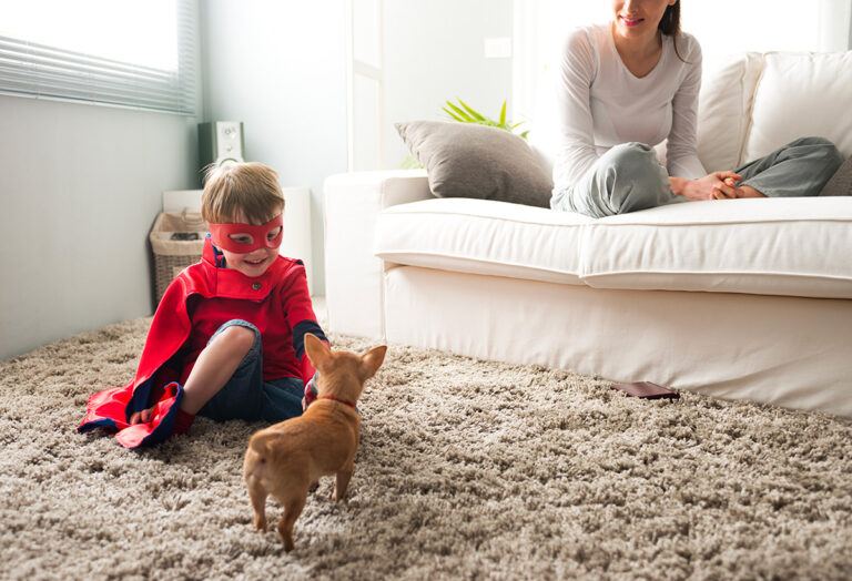 Chien adapté pour appartement
