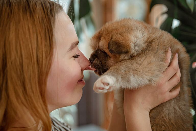 Cout adoption chiot