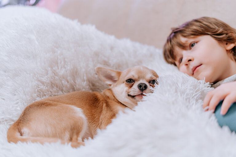 Relation chien et enfant autiste